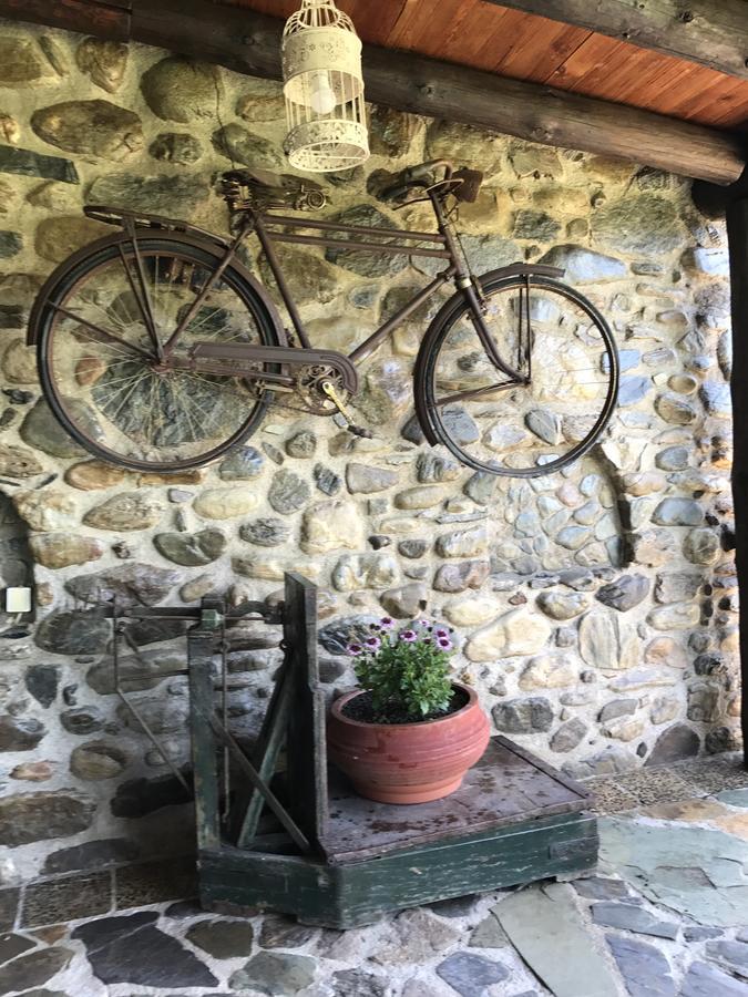 Villa Casa Avocado Tavronitis Екстериор снимка