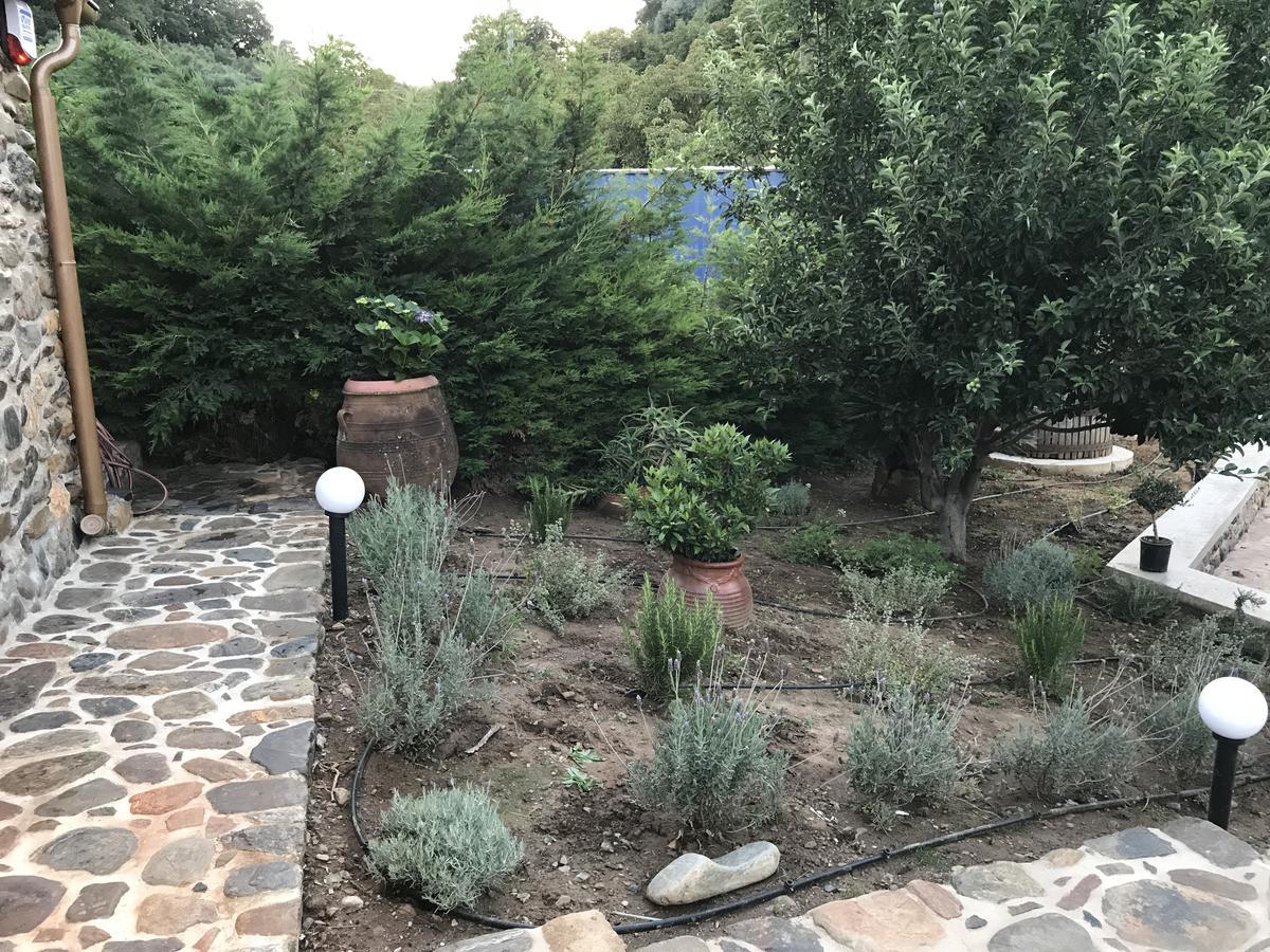 Villa Casa Avocado Tavronitis Екстериор снимка