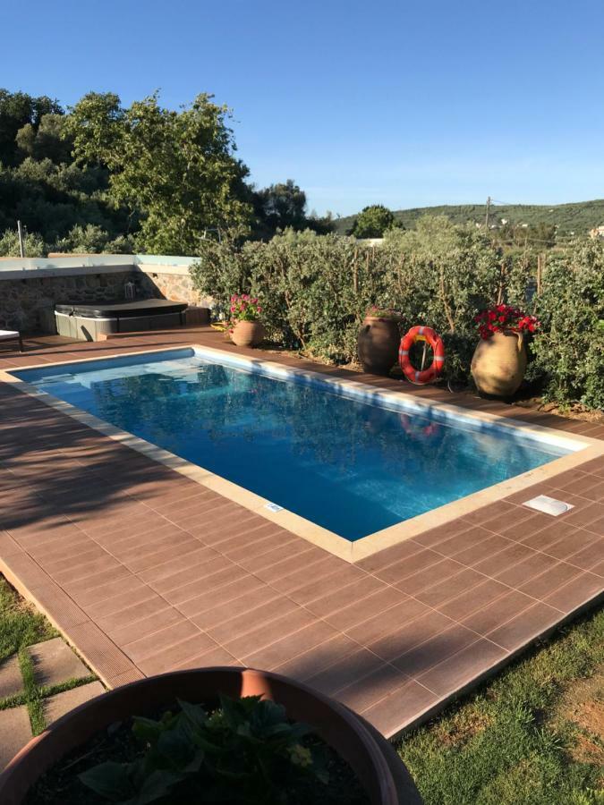 Villa Casa Avocado Tavronitis Екстериор снимка