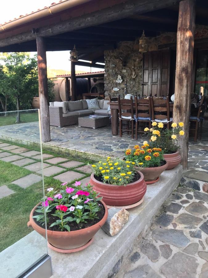 Villa Casa Avocado Tavronitis Екстериор снимка